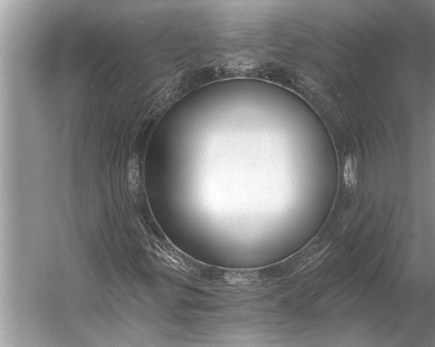 X0000056361299200509161817