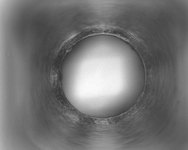 X0000056361302200509161817