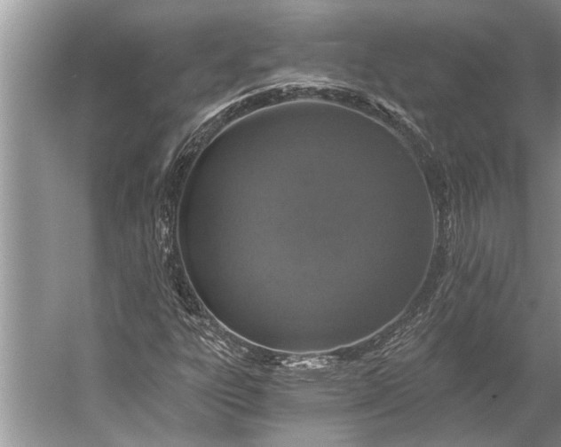 X0000056361303200509161817