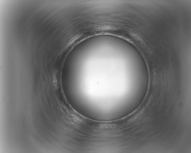 X0000056361305200509161817