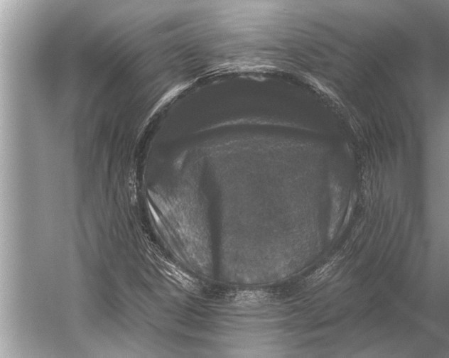 X0000056361306200509161817