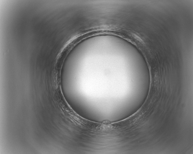 X0000056361310200509161818