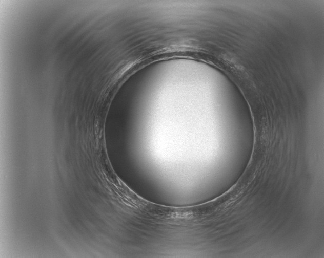 X0000056361313200509161818