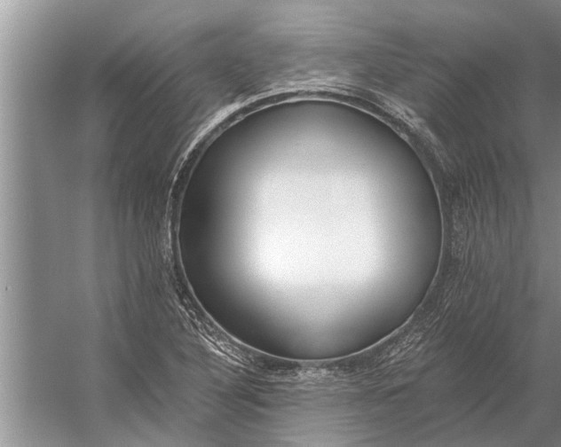 X0000056361316200509161818