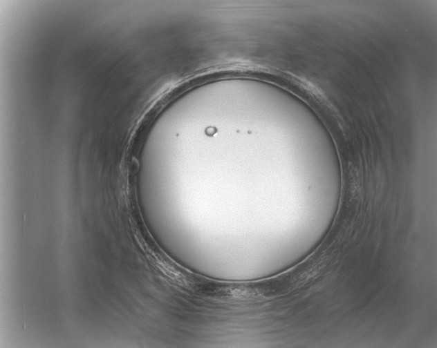 X0000056361318200509161818