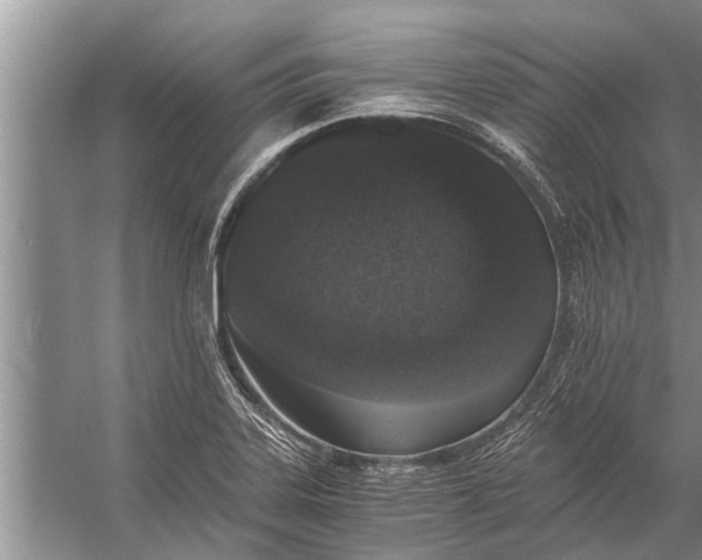 X0000056361323200509161818