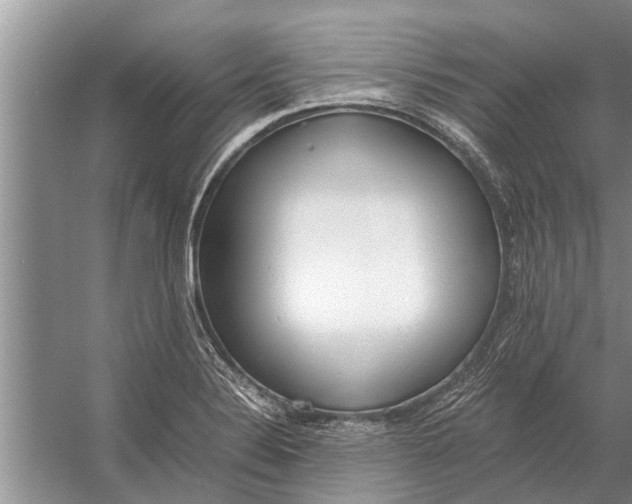 X0000056361324200509161818