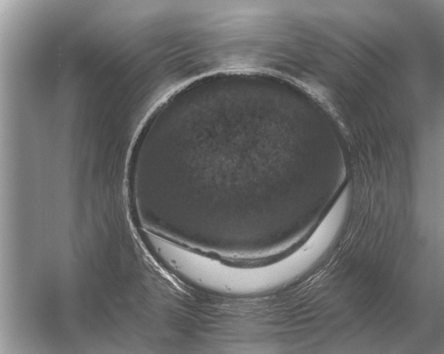 X0000056361327200509161818