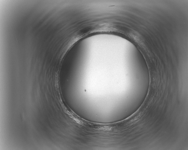 X0000056361329200509161818