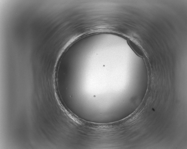 X0000056361333200509161818