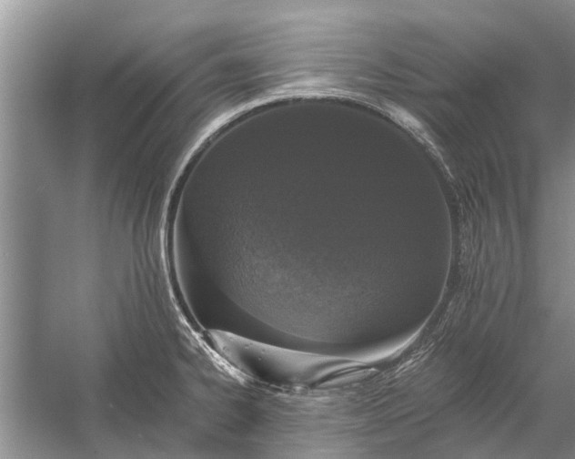 X0000056361334200509161818