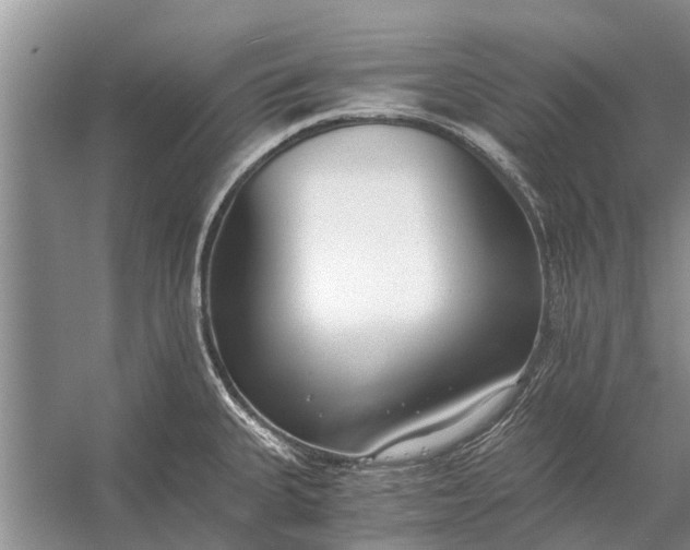 X0000056361335200509161818