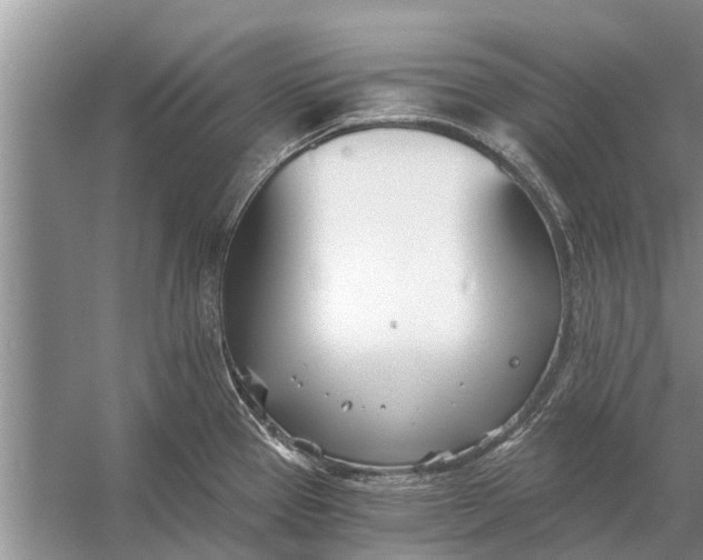 X0000056361337200509161818