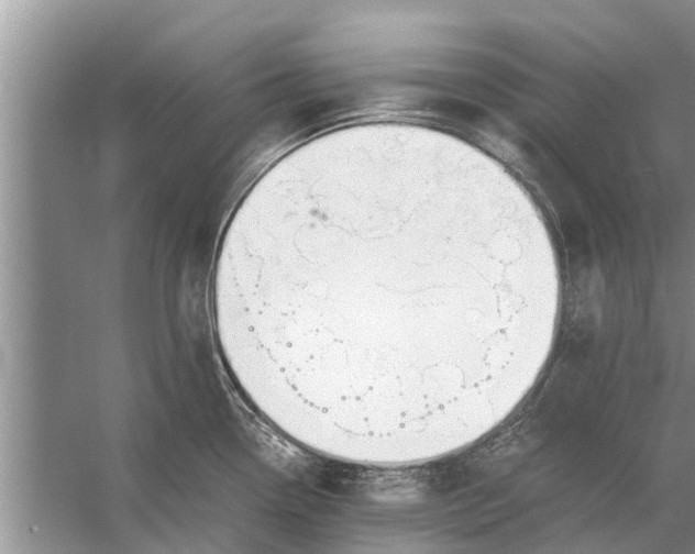 X0000056361338200509161818