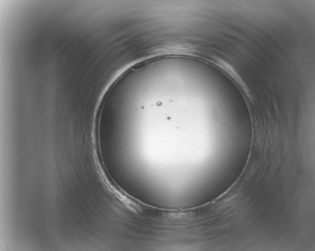 X0000056361339200509161818