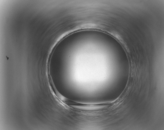 X0000056361342200509161818