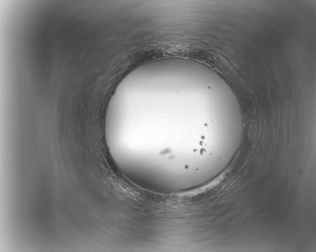 X0000056361345200509161817