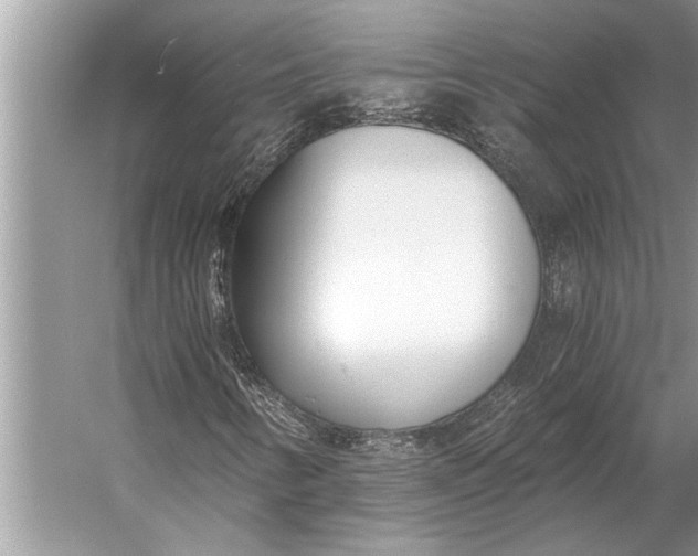 X0000056361346200509161817