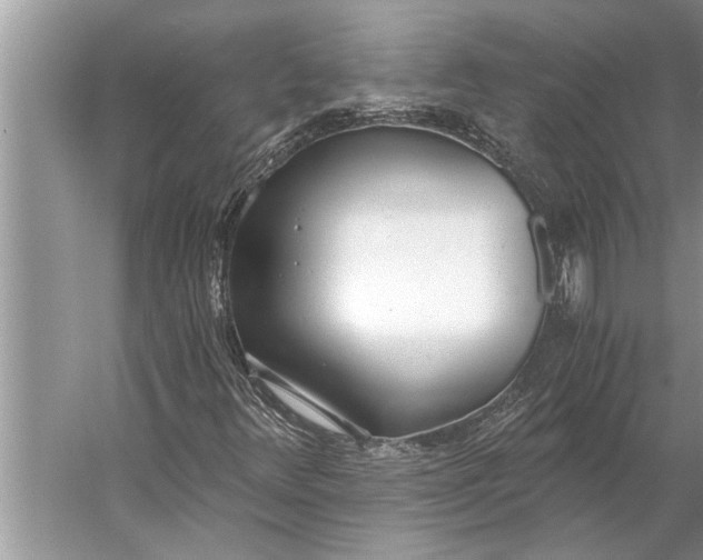 X0000056361348200509161817