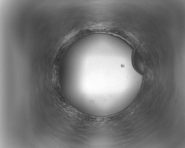 X0000056361350200509161817