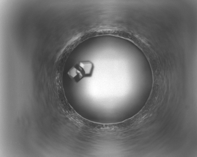 X0000056361351200509161817