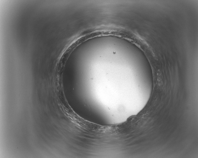 X0000056361352200509161817