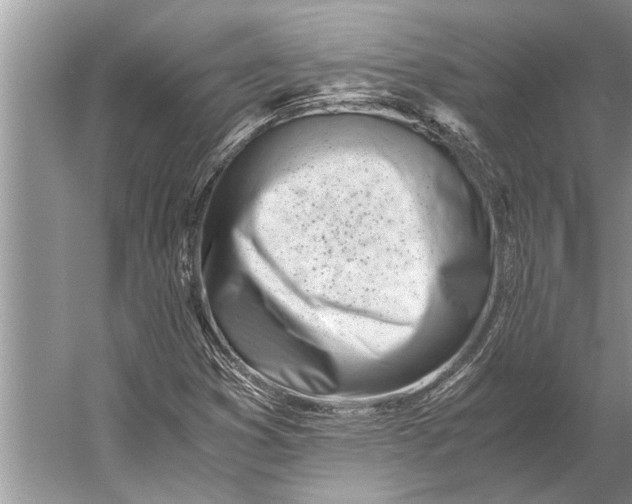 X0000056361353200509161817