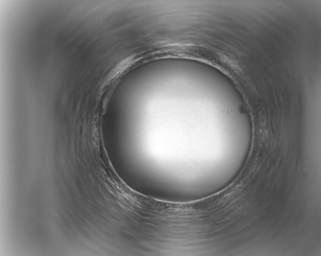 X0000056361354200509161817