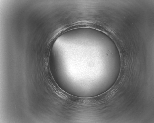 X0000056361355200509161817