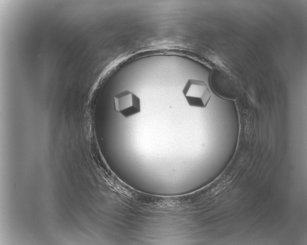 X0000056361358200509161817