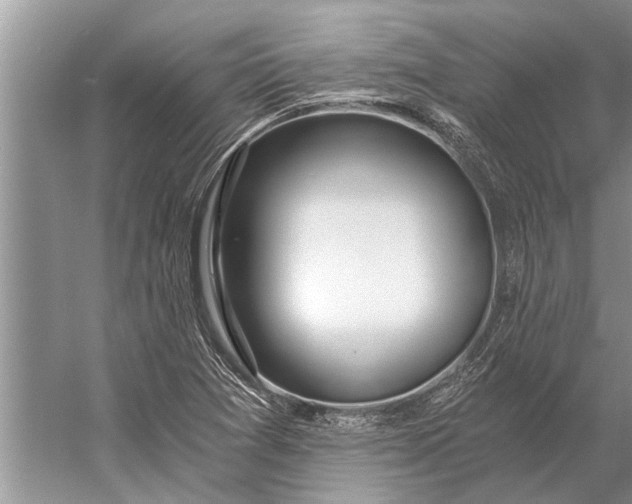 X0000056361361200509161817