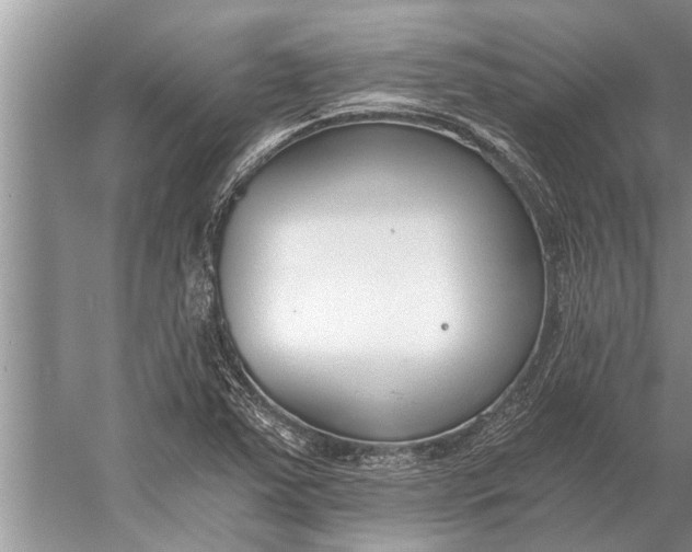 X0000056361363200509161817