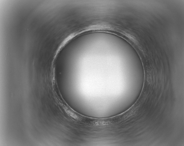 X0000056361366200509161817