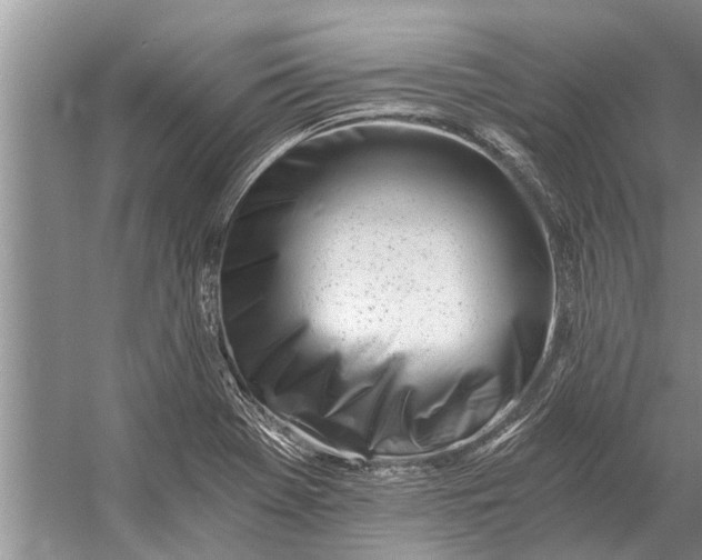 X0000056361369200509161817