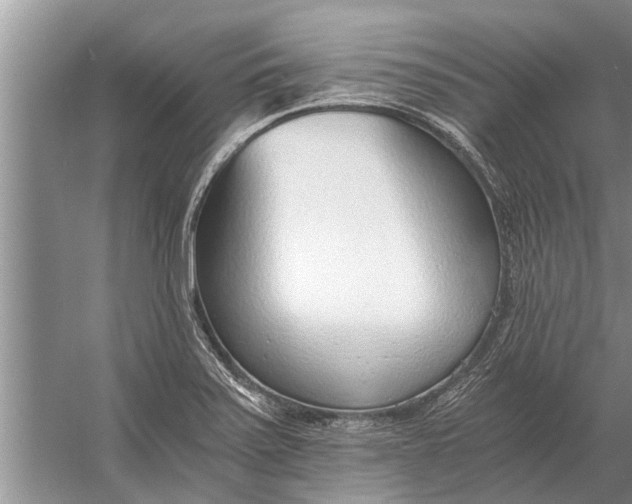 X0000056361371200509161817