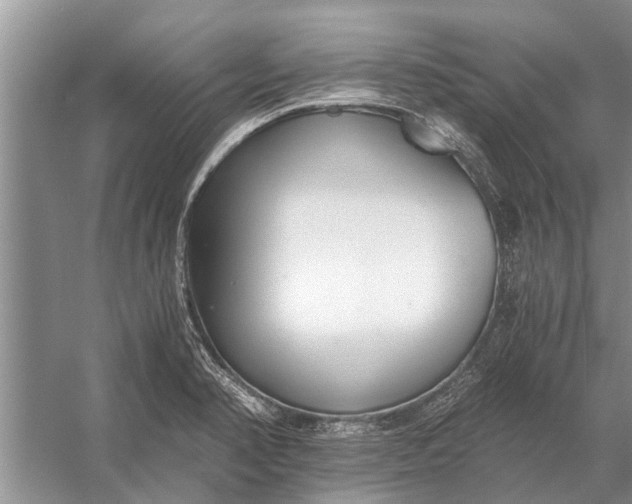 X0000056361374200509161817