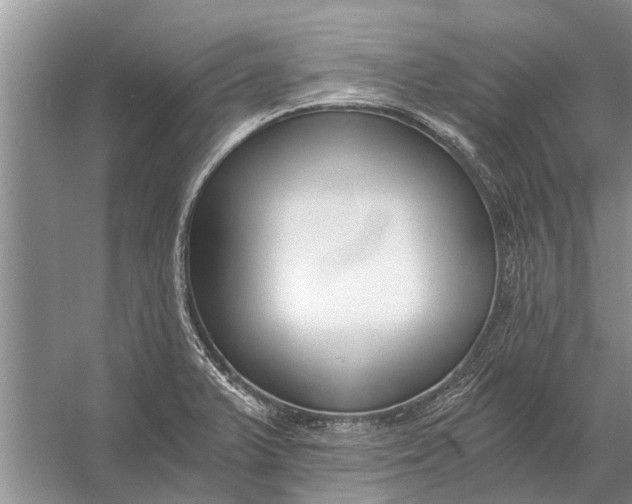 X0000056361375200509161817