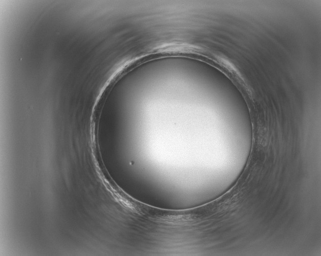 X0000056361376200509161817