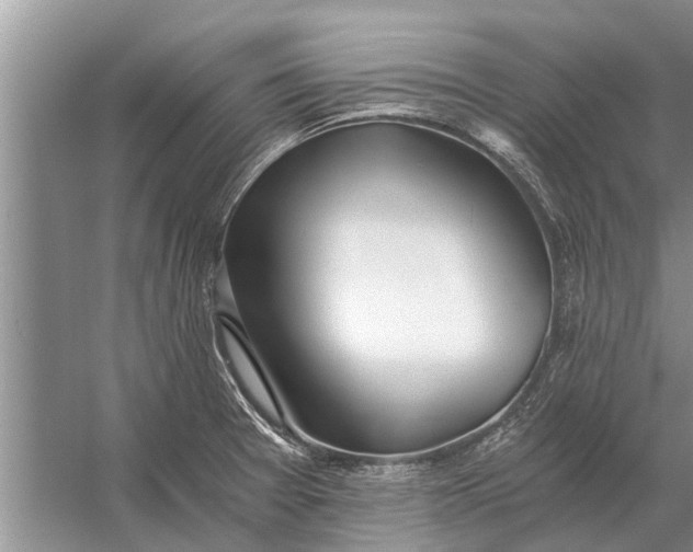 X0000056361377200509161817