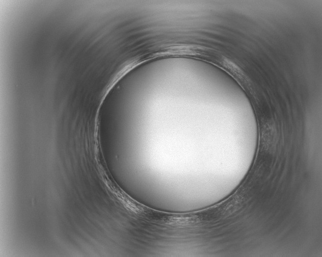 X0000056361378200509161817