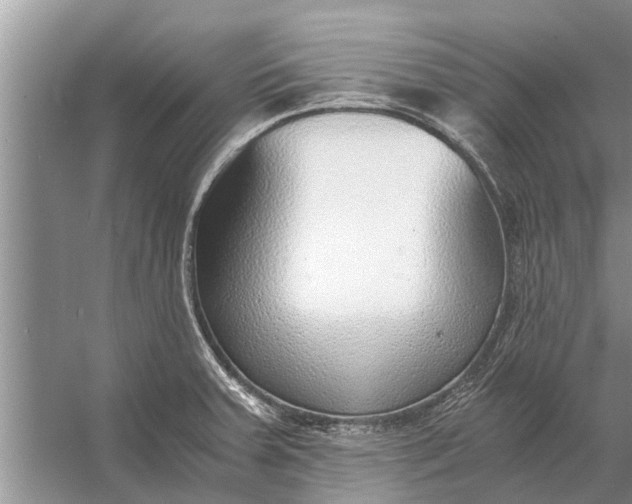 X0000056361379200509161817