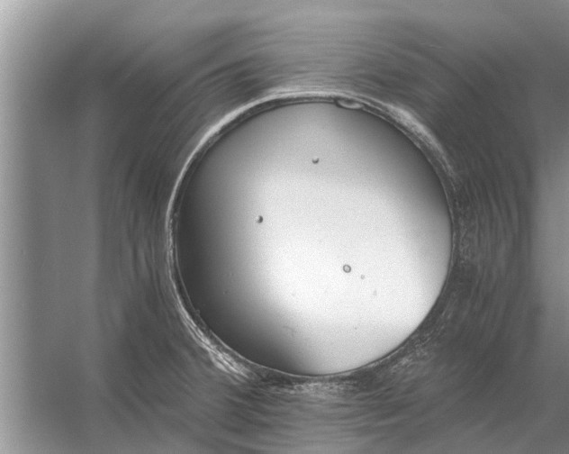 X0000056361380200509161817