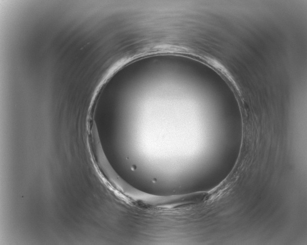 X0000056361381200509161817