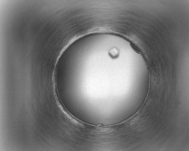 X0000056361382200509161817