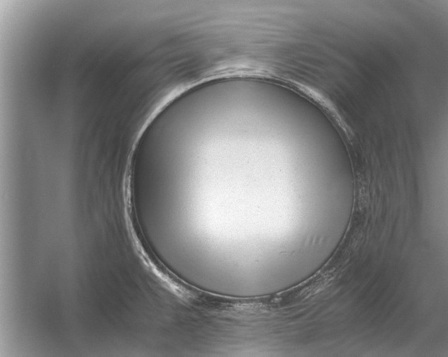 X0000056361383200509161817