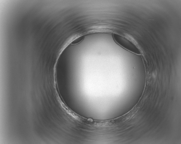 X0000056361386200509161817