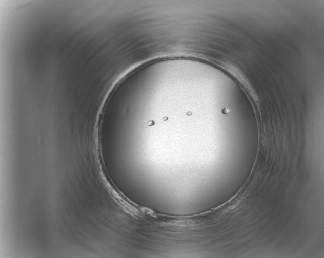 X0000056361388200509161817