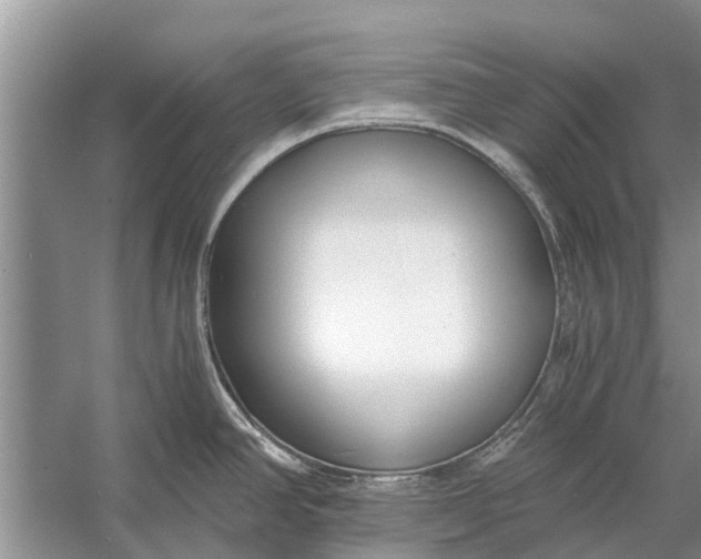 X0000056361390200509161817