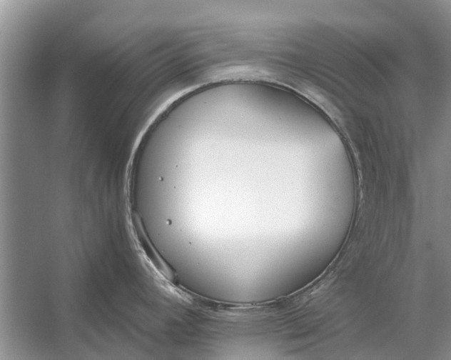 X0000056361392200509161816