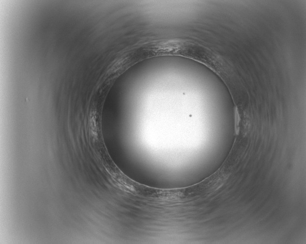 X0000056361394200509161816